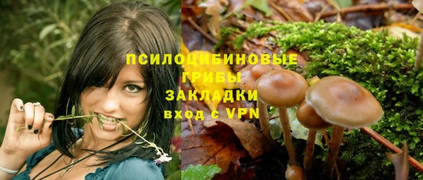 хмурый Киреевск