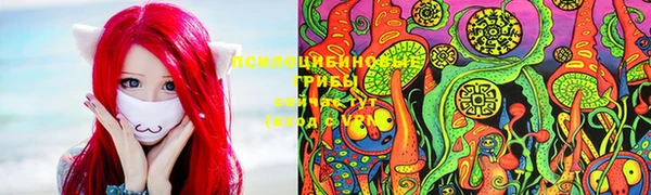хмурый Киреевск