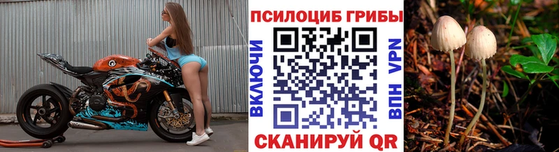 Купить закладки  Нязепетровск  Галлюциногенные грибы Psilocybe 